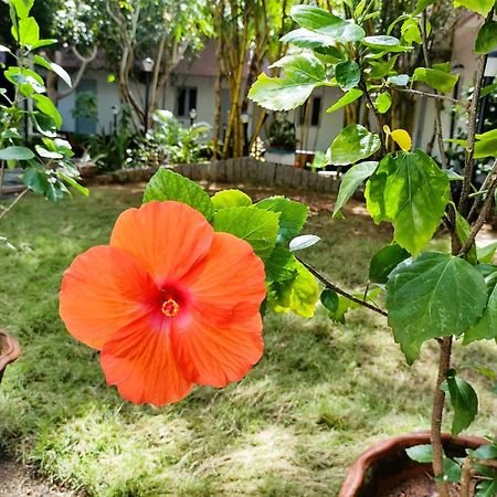 The Well Beach Side Guest House Auroville Esterno foto