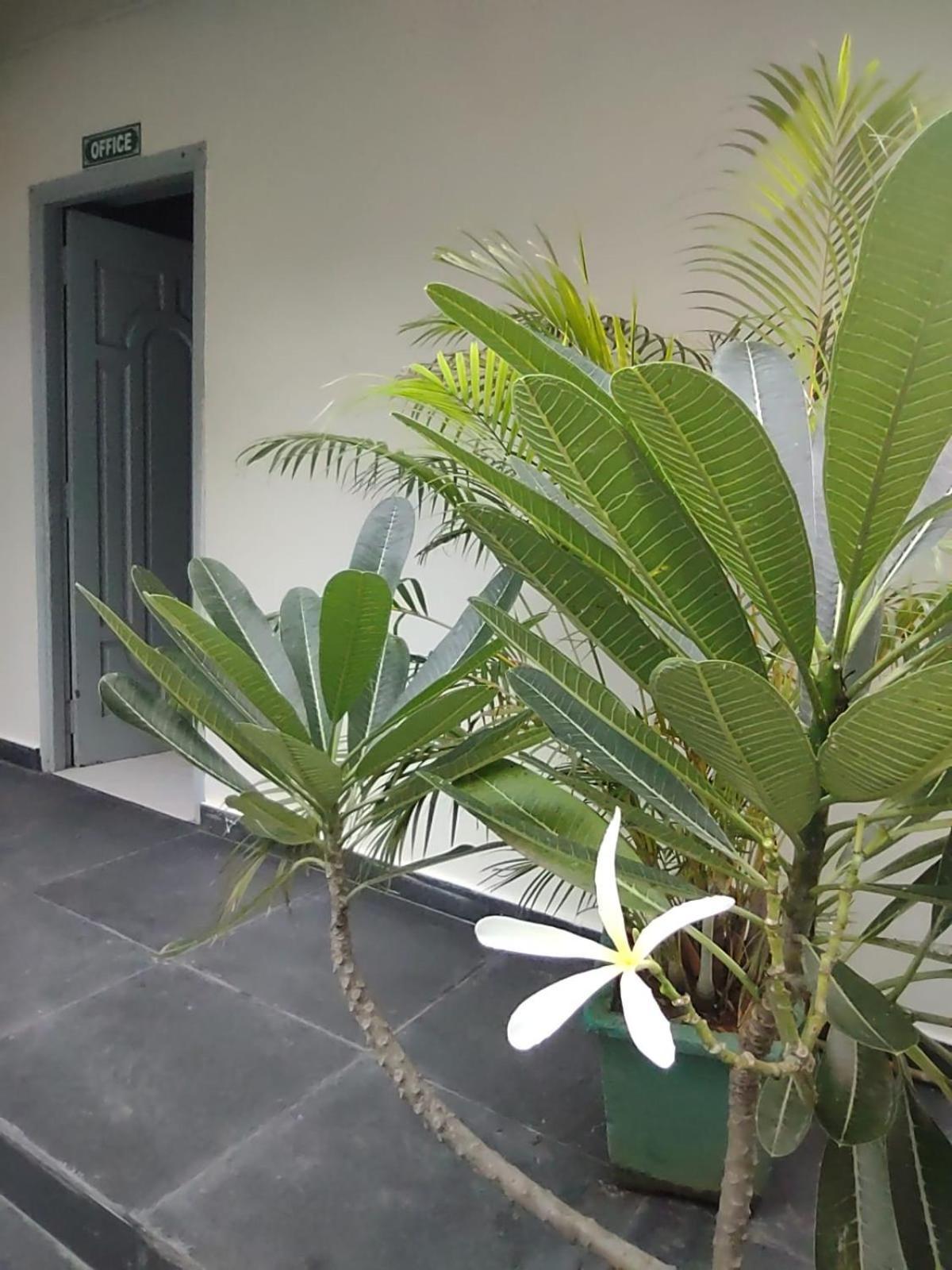 The Well Beach Side Guest House Auroville Esterno foto