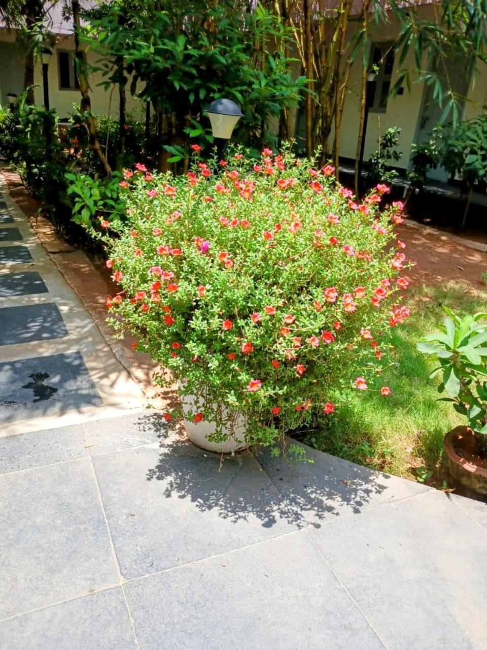 The Well Beach Side Guest House Auroville Esterno foto